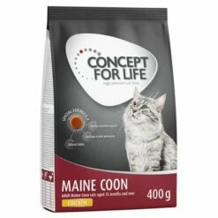 animalerie vente 15 Concept For Life Maine Coon Adult