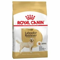 animalerie vente -animalerie vente 61151 pla royalcanin adulthund labradorretriever 0