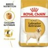 Royal Canin Labrador Retriever Adult