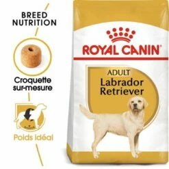 animalerie vente 38 Royal Canin Labrador Retriever Adult