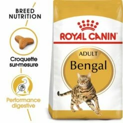 animalerie vente 22 Royal Canin Bengal Adult